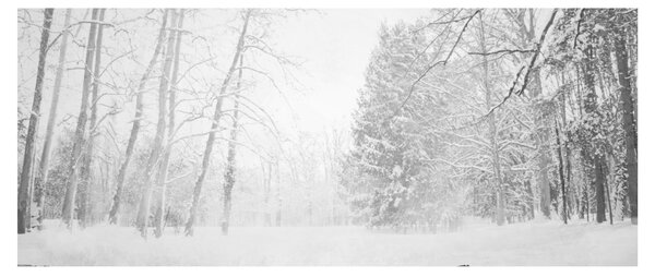 Tablou - Pier de lemn în timpul iernii (120x50 cm)