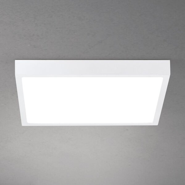 Orion - Plafonieră LED dimabilă DISC LED/30W/230V 2700/3000/4000K 39x39 cm alb