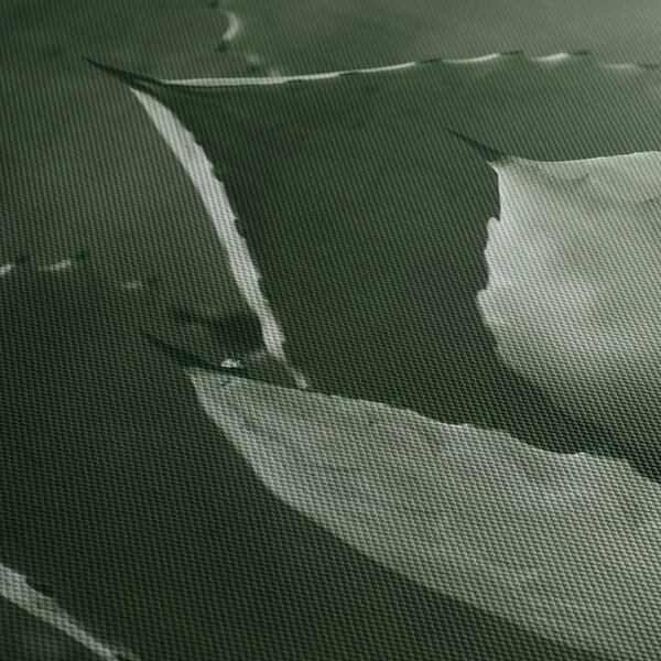 Tablou - Agave verde (90x60 cm)