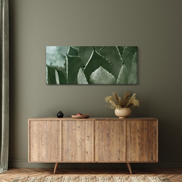 Tablou - Agave verde (120x50 cm)