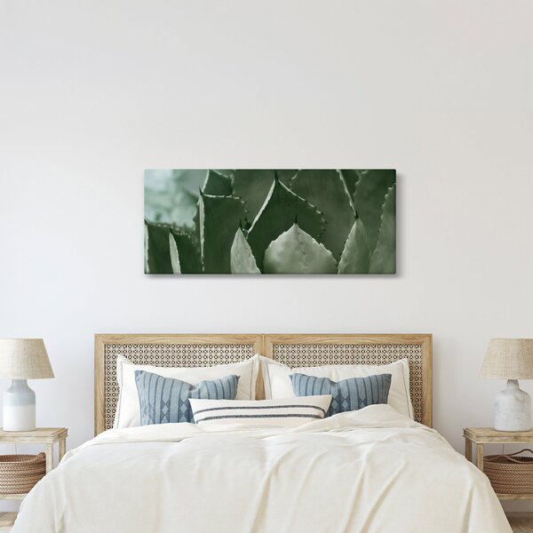 Tablou - Agave verde (120x50 cm)