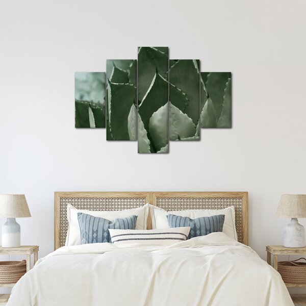 Tablou - Agave verde (150x105 cm)