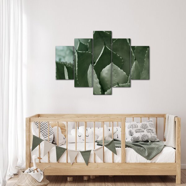 Tablou - Agave verde (150x105 cm)