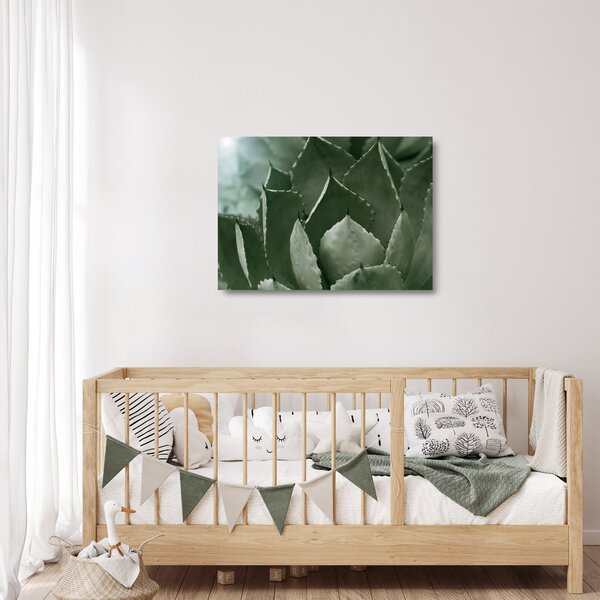 Tablou pe sticlă - Agave verde (70x50 cm)