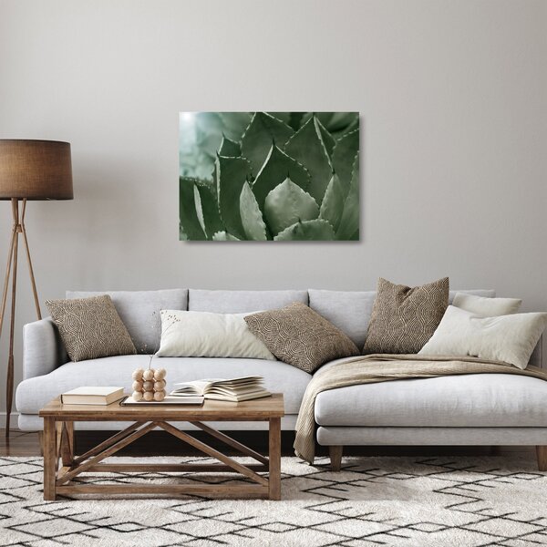 Tablou pe sticlă - Agave verde (70x50 cm)