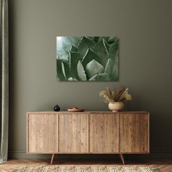 Tablou pe sticlă - Agave verde (70x50 cm)
