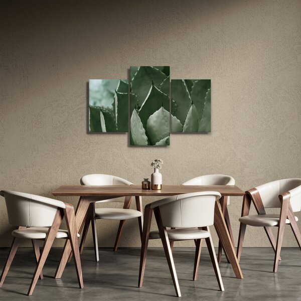 Tablou - Agave verde (90x60 cm)