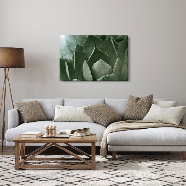 Tablou - Agave verde (90x60 cm)