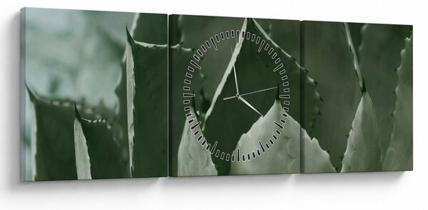 Tablou - Agave verde (cu ceas) (90x30 cm)