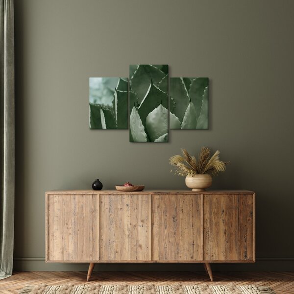 Tablou - Agave verde (90x60 cm)