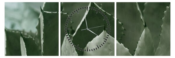 Tablou - Agave verde (cu ceas) (90x30 cm)