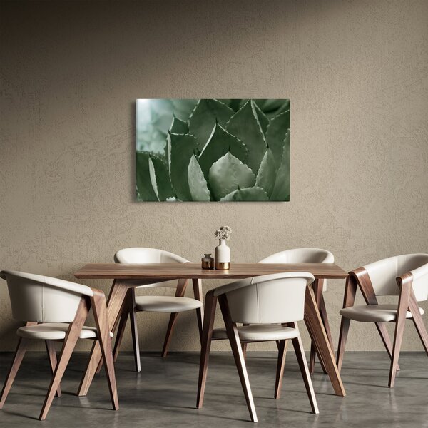Tablou - Agave verde (90x60 cm)