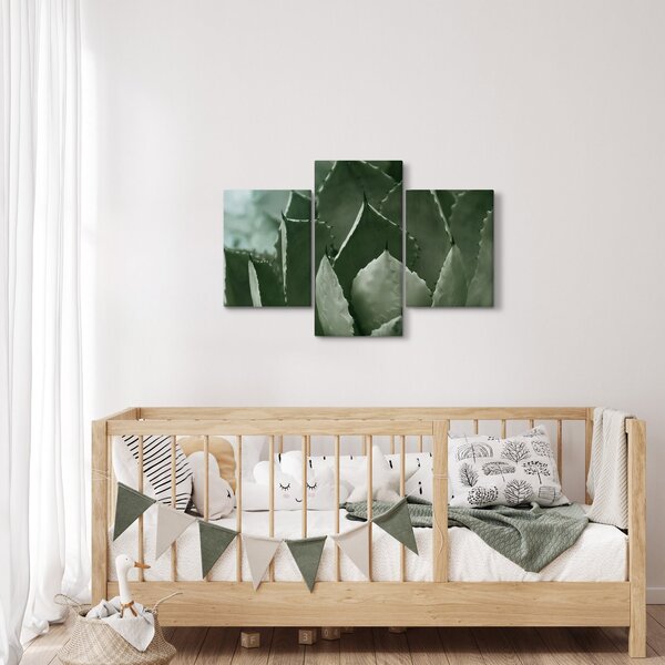 Tablou - Agave verde (90x60 cm)