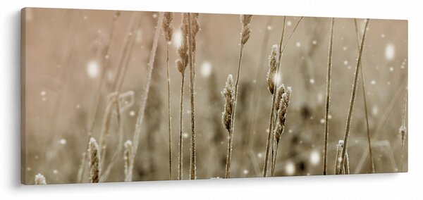 Tablou - Pajiște armonioasă (120x50 cm)
