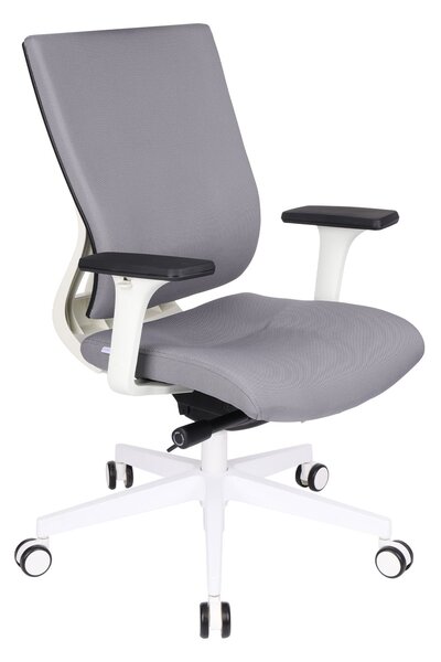 Scaun de birou MaxPro WT