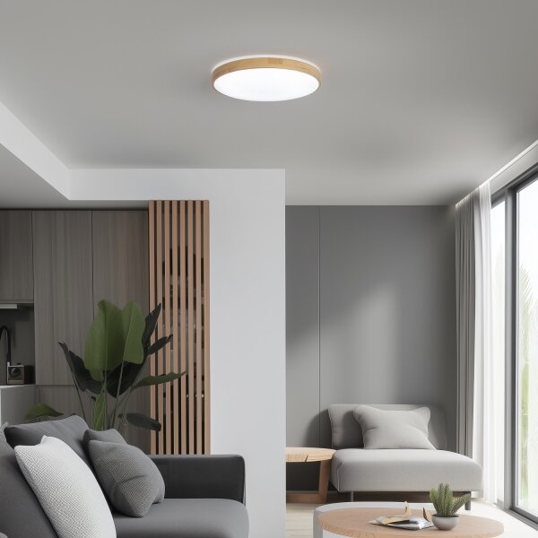 Brilagi - Plafonier LED reglabil PINE LED/24W/230V + telecomandă