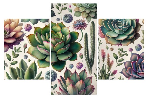 Tablou - Plante suculente (90x60 cm)