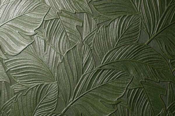 Tapet Frunze tropicale în relief, cu un contur delicat, în nuanțe de verde intens, Fototapet Textură, w09886v1 : Uwalls.ro