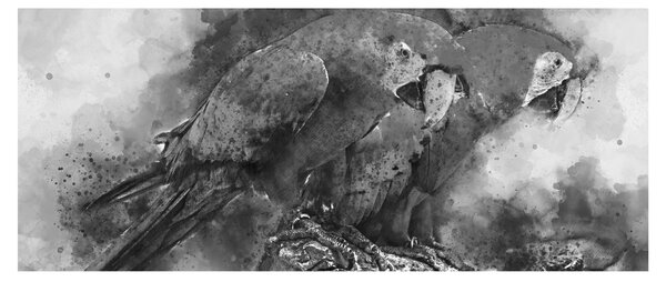 Tablou - Acuarelă papagali (120x50 cm)