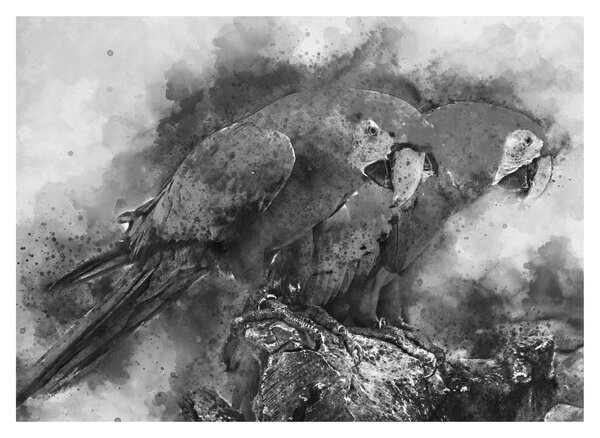 Tablou - Acuarelă papagali (70x50 cm)