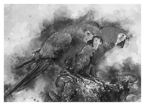 Tablou pe sticlă - Acuarelă papagali (70x50 cm)