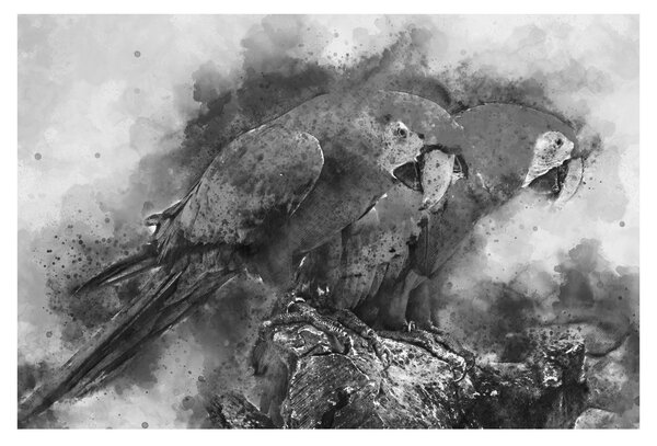 Tablou - Acuarelă papagali (90x60 cm)