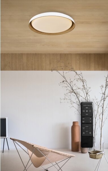 Plafonieră LED dimabilă Top Light SATELLITE LED/48W/230V 3000-6500K alb/maro + telecomandă