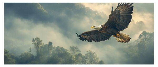 Tablou - Vultur în zbor (120x50 cm)
