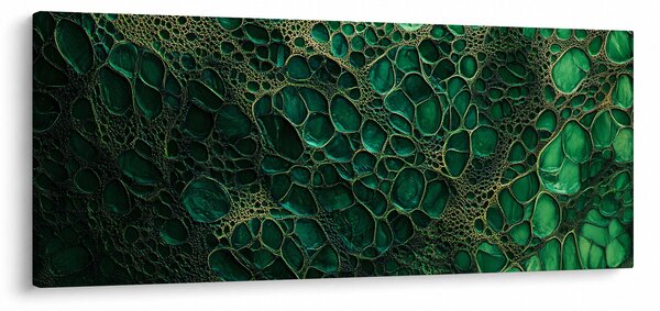 Tablou - Imagine microscopică verde (120x50 cm)