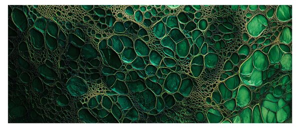 Tablou - Imagine microscopică verde (120x50 cm)