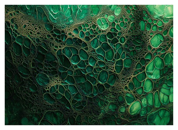 Tablou - Imagine microscopică verde (70x50 cm)