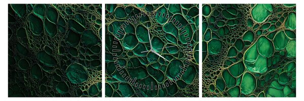 Tablou - Imagine microscopică verde (cu ceas) (90x30 cm)