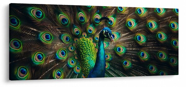 Tablou – Păun (120x50 cm)