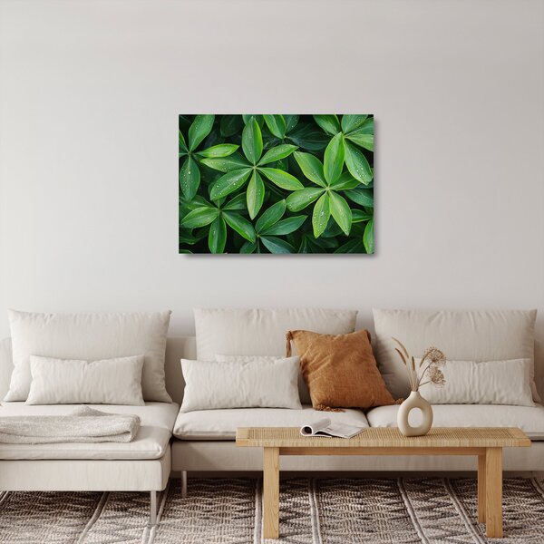 Tablou pe sticlă - Frunze cu picături de rouă (70x50 cm)