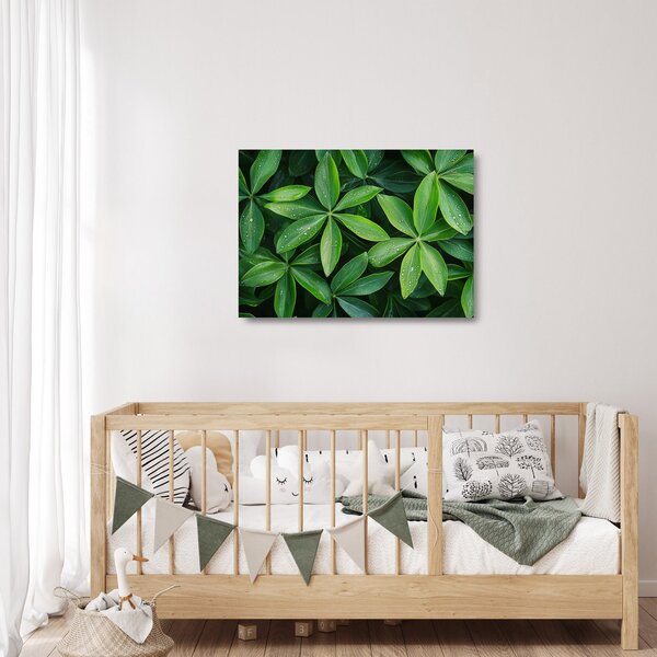 Tablou pe sticlă - Frunze cu picături de rouă (70x50 cm)