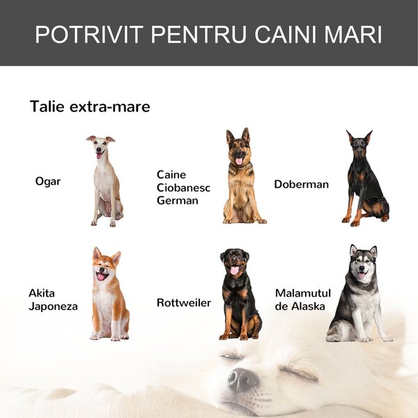PawHut Cusca Caini Pliabilă Mobilă cu 4 Roți și Mâner 125x76x81cm Ușor de Transportat | Aosom Romania