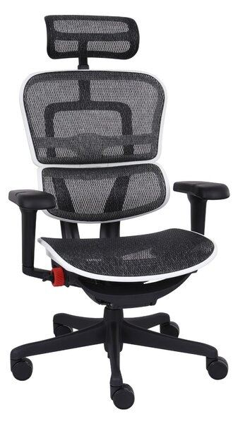 Scaun de gaming Ergohuman 2 Ultra Aurora White