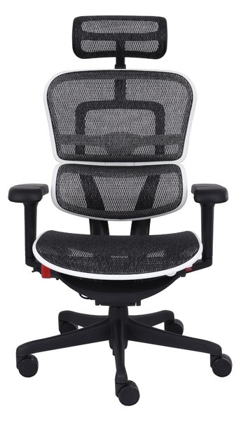 Scaun de gaming Ergohuman 2 Ultra Aurora White