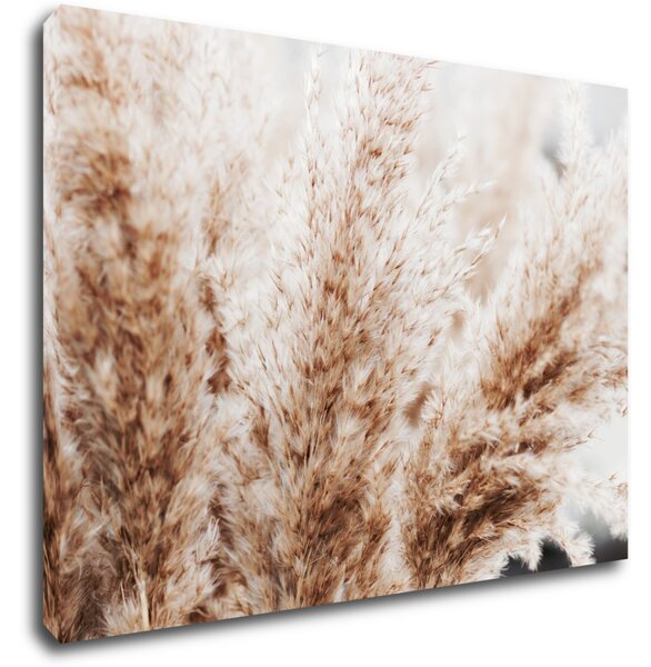 Impresi Tablou Dry flowers detail - 70 x 50 cm