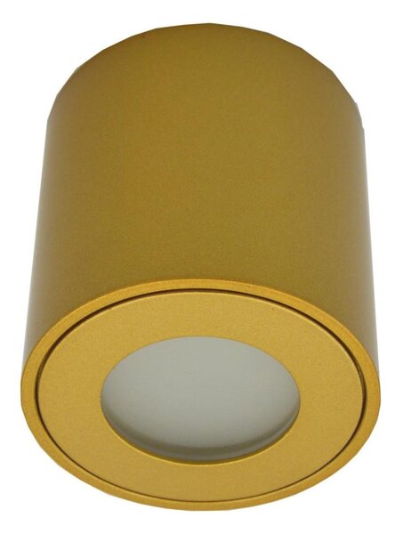 Spot exterior FARA 1xGU10/30W/230V IP54 auriu