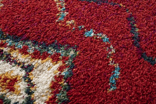 Covor Pufos Living Dormitor, Model 52641 010, Rosu 80 x 150