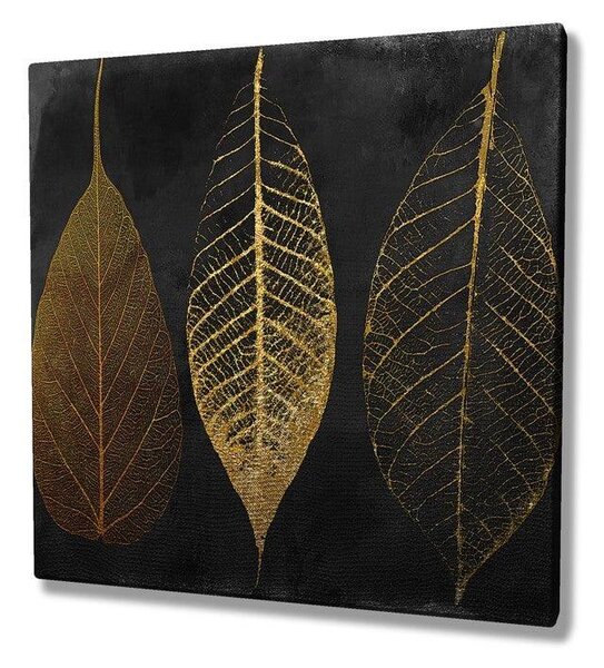 Tablou Canvas KNV4407_7070, Multicolor, 70x70 cm