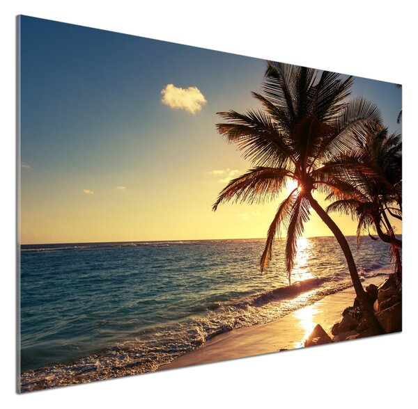 Sticlă pentru bucătărie plaja tropicala