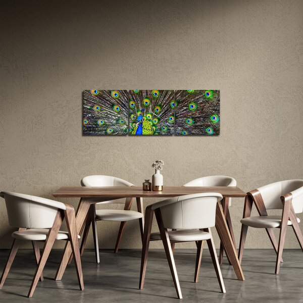 Tablou - Păun (cu ceas) (90x30 cm)