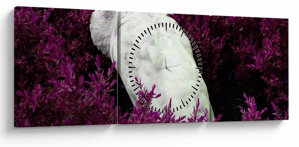 Tablou - Păun alb (cu ceas) (90x30 cm)