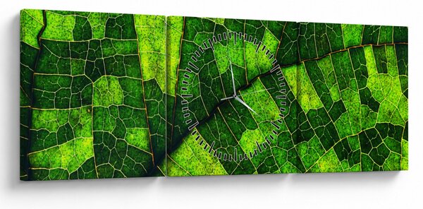 Tablou - Detaliu frunze (cu ceas) (90x30 cm)