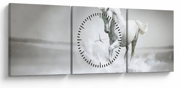 Tablou - Cal alb (cu ceas) (90x30 cm)