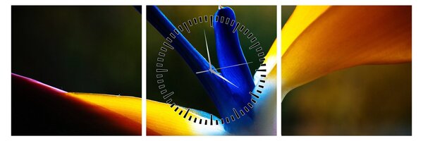 Tablou - Floare exotică (cu ceas) (90x30 cm)