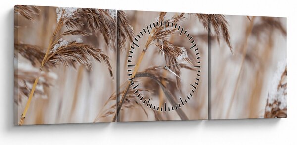 Tablou - Tei (cu ceas) (90x30 cm)