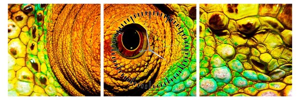 Tablou - Cameleon (cu ceas) (90x30 cm)